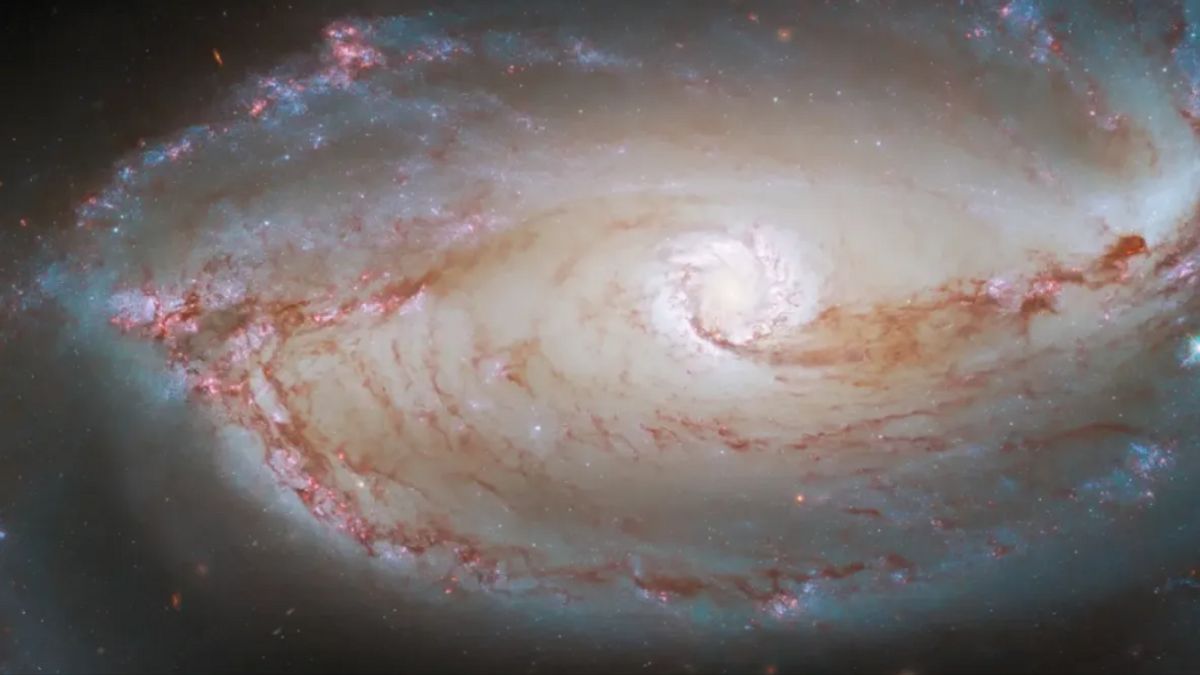 NASA、UVEX望遠鏡で星の爆発を研究へ