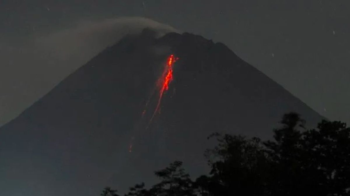 Berita Yogyakarta: Gunung Merapi Meluncurkan Guguran Lava 43 Kali Selama Sepekan