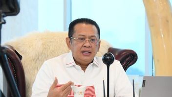 Ketua MPR Minta Polda Papua Investigasi Pemasok Amunisi ke KKB Papua