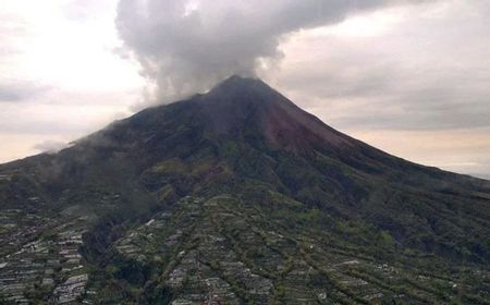 Gunung Merapi Erupsi, Luncurkan Awan Panas Sejauh 1,5 Km