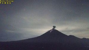 Semeru Erupsi Disertai Lontaran Lava Pijar