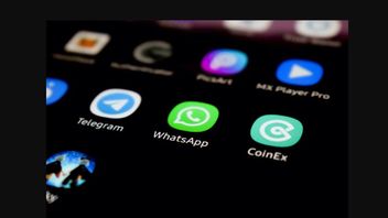 Kenali Beda WhatsApp Web dan Desktop, Anda Pilih Mana? 