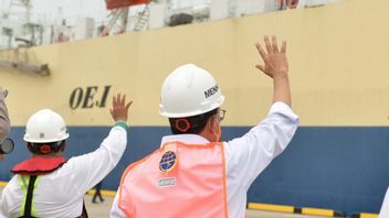 交通部长Budi Karya:阿布扎比港有兴趣管理帕廷班港集装箱码头