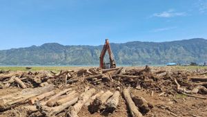 SK Menhut Landasi Penggunaan Kayu Hanyutan Demi Pemulihan Pascabencana