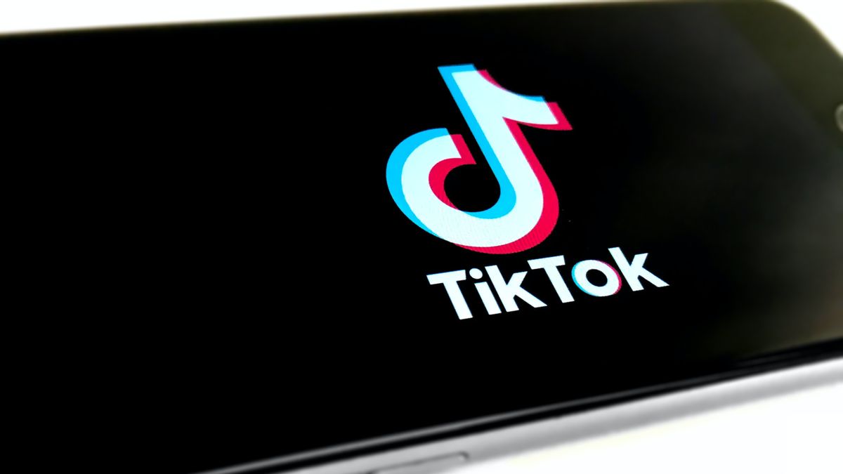 TikTok 致力于保护用户免受反同性恋和伊斯兰恐惧症内容的侵害