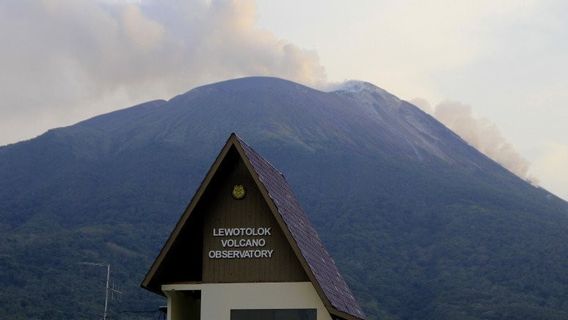 Terkini, Dua Kali Gunung Ili Lewotolok Erupsi Disertai Dentuman Keras