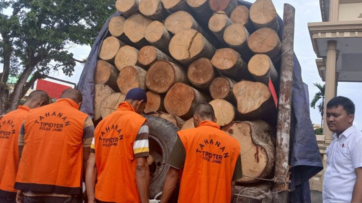 La police de Jambi enquête sur le but de la livraison de bois des résultats de l’excavation illégale