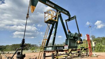 Target Eksplorasi 46 Sumur di 2025, SKK Migas Catat Baru Bor 18 Sumur