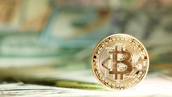 Bitcoin Soars to IDR 1.4 Billion, Meme Coins Also on the Rise