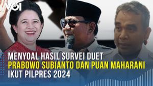  VIDEO: Gerindra Respons Hasil Survei soal Kuatnya Duet Prabowo-Puan di Pilpres 2024