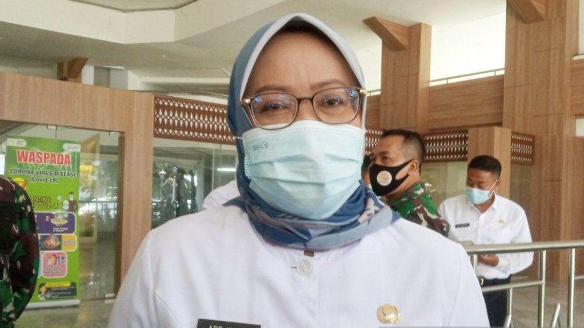 Pertimbangkan Bantuan Hukum untuk Ade Yasin, PPP: Dimusyawarahkan di Internal Keluarga