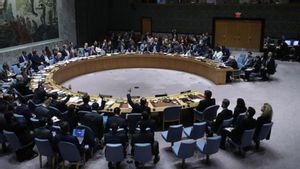 Japan Becomes Chairman Of The UN Security Council During March 2024, Discusses Peace Development In Conflict Prevention