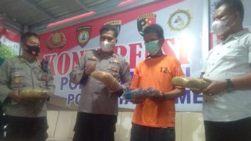  Kanit Reskrim à Medan Déguisé En Acheteur, Dealer 10 Kg Marijuana Arrêté