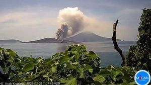 Gunung Anak Krakatau Dua Kali Erupsi, Abu Vulkanik Menyembur 1.000 Meter