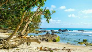 Pantai Tersembunyi di Wilayah Gunung Kidul yang Bisa Dikunjungi