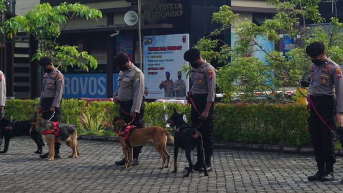 الكلاب البوليسية التي تشاهد أيضا قمة G20 ستساعد الأمن لعيد الميلاد ورأس السنة الجديدة في Sidoarjo