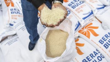 لتخفيف اضطراب ارتفاع الأسعار ، تنفق Bulog 100 ألف طن من الأرز في أوائل يناير 2023