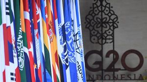  Pengamat Harap Pemerintah Segera Dorong Endemi Usai Berakhirnya G20