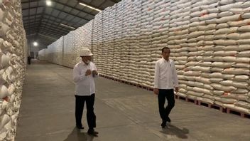 Le Ministre Du Commerce Lutfi Déçoit Jokowi Au Sujet Du Discours Sur Les Importations De Riz, Secrétaire Général Du PDIP : Nous Devons Exporter Du Riz