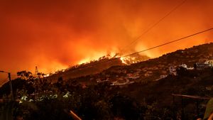 Kebakaran Hutan Catalonia, 18 Ribu Orang ‘Lockdown’ di Rumah