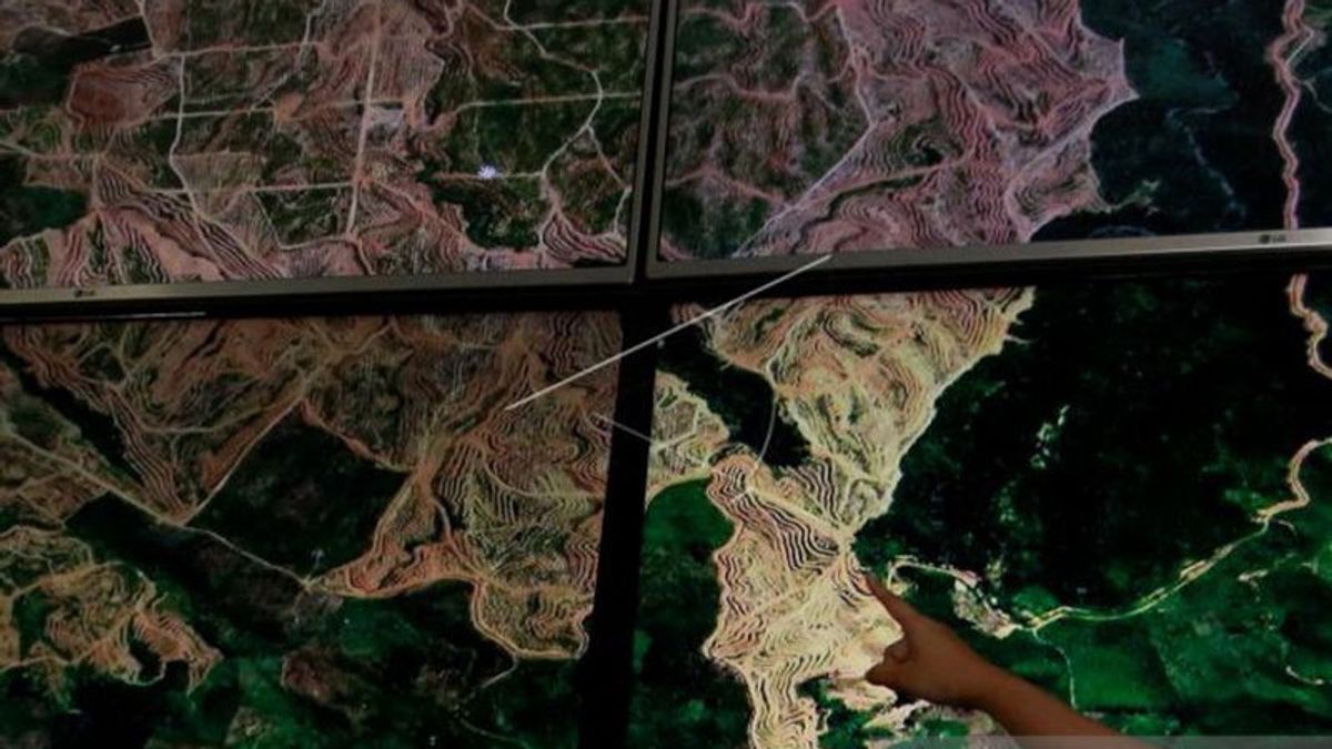 Sepanjang 2021 Aceh Kehilangan Tutupan Hutan Seluas Pulau Weh Ditambah Pulau Breuh dan Pulau Nasi