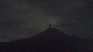 Gunung Semeru Erupsi dengan Ketinggian Material Vulkanik 800 Meter