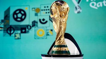 距离 2022 年世界杯还有 2 天：了解卡塔尔的禁令