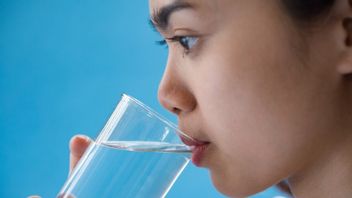 Apa Gunanya Air bagi Tubuh? Simak 5 Fungsinya