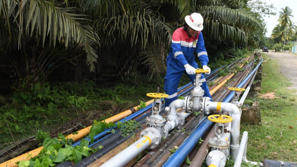 PGN distribue du gaz naturel de JTB vers l’industrie de la serre à KIT Batang