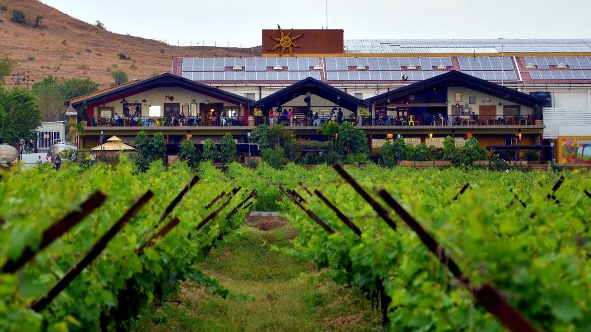 Arsitektur Kilang yang Mengubah Bisnis Anggur di Argentina