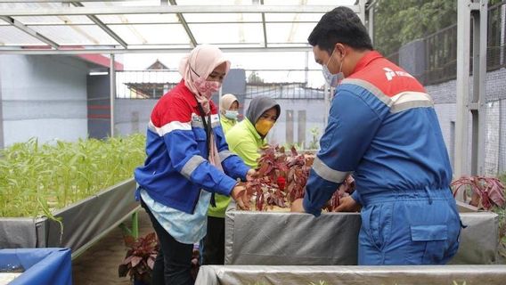 佩尔塔米纳授权巨港监狱协助居民培养水培