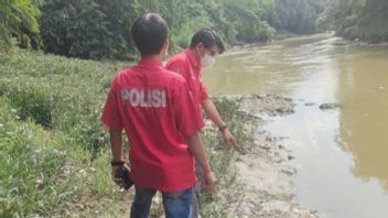 Polisi Selidiki Penyebab Ribuan Ikan Mati di Sungai Cileungsi, Sampel Air Diuji Laboratorium