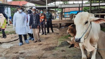 Tak Ingin Penyakit Mulut-Kaki Menyebar Luas, Pemkab Tangerang Semprot Disinfektan di Kandang Sapi Desa Ranca Iyuh