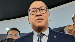 Bos Danantara Targetkan RI Bakal Tambah Kepemilikan Saham Freeport 12 Persen