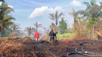 23ヘクタールへの劇的な増加にもかかわらず、BPBD、TNIと警察はナガンラヤの泥炭地の火災を首尾よく鎮静化