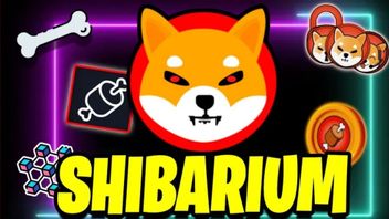 استمر! ShibaSwap المطور تعلن شيبا إينو (شيب) شيباريوم إطلاق قريبا