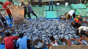 KKP的目标是到2025年渔业产量达到24.58亿吨