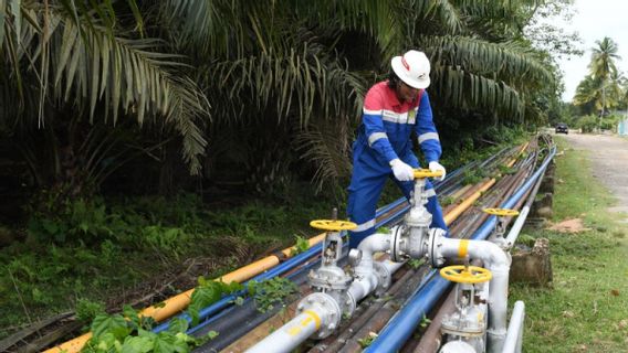 بناء خط أنابيب الغاز في سومطرة - جاوة يمكن أن يضغط من تكاليف الطهي حتى 160 مليار روبية إندونيسية