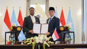RI-Somalia Perkuat Kerja Sama Strategis, Menlu Sugiono: Kita Perjuangkan Tatanan Dunia yang Adil dan Inklusif
