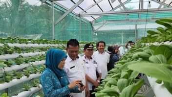 Holds Local Agricultural Partnership, Sinar Mas Land Owned By The Late Conglomerate Eka Tjipta Widjaja Realizes Contribution In The Social Sector
