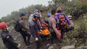 Seluruh Pendaki Korban Erupsi Gunung Marapi yang Terdata Berhasil Dievakuasi