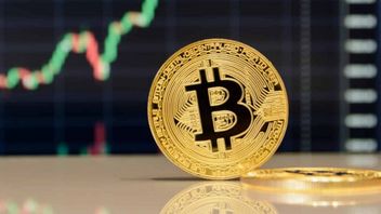 Bitcoin Diprediksi Tembus Rp4 M, Begini Menurut Kepala Riset CoinShares!