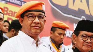 Cela pourrait être une propagation, Wajar Anies Baswedan rejette le leader du parti pour le changement