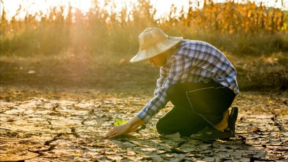 Climate Change Catastrophe: From Economics to Threat to World Peace