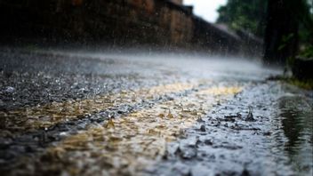 Prakiraan Cuaca BMKG: Hujan dan Angin Kencang Berpotensi Terjadi di Jaktim dan Jaksel