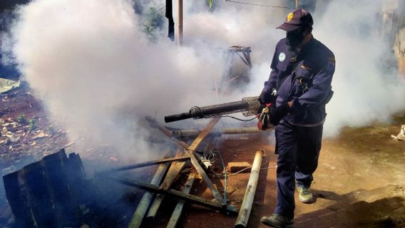 DHF Cases In Cipayung, East Jakarta Increase, Officers Immediately Perform Fogging