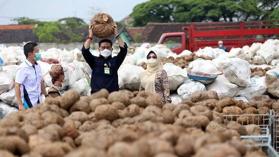 輸出を押し上げる可能性のあるポラン加工、政府が生産技術を促進