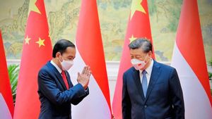 Xi Jinping Jadwalkan Pembicaraan Formal dengan Jokowi
