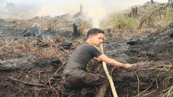 Joint Team Puts Out Forest And Land Fires In Palangka Raya