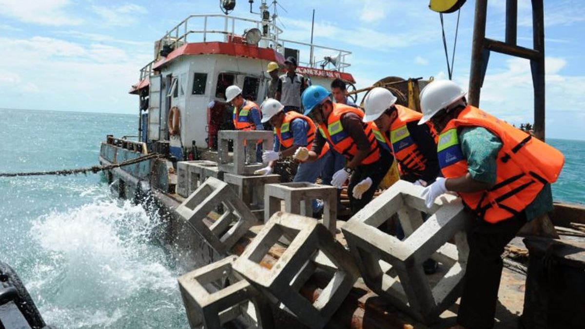 Lestarikan Populasi Ikan di Bangka Belitung, PT Timah Berencana Tenggelamkan 1.920 Karang Buatan